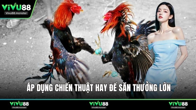 Áp dụng chiến thuật hay để săn thưởng lớn