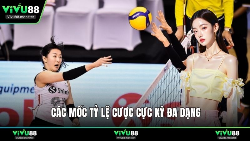 Các mốc tỷ lệ cược cực kỳ đa dạng