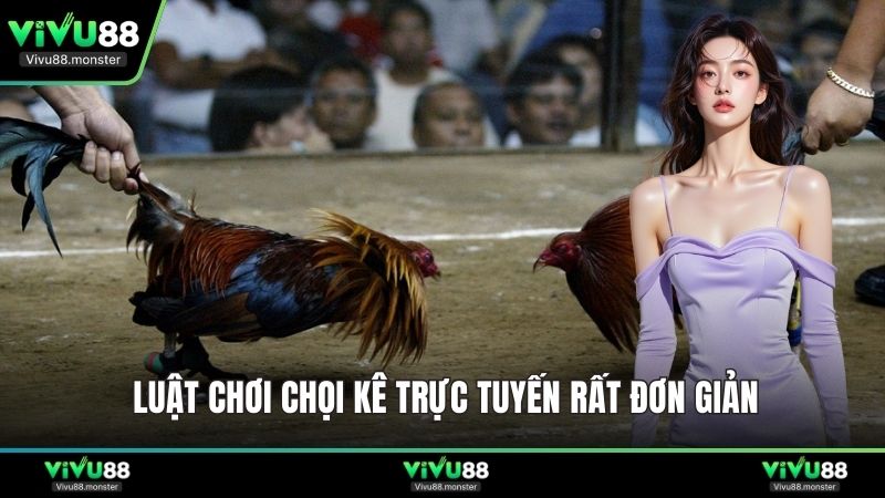 Luật chơi chọi kê trực tuyến rất đơn giản