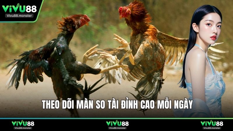 Theo dõi màn so tài đỉnh cao mỗi ngày