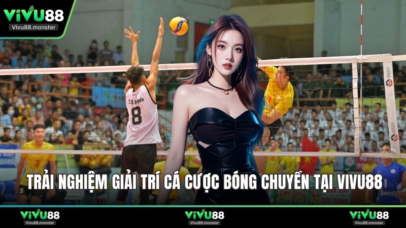 Trải nghiệm giải trí cá cược bóng chuyền tại Vivu88